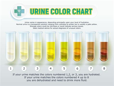 how much water to dilute drug test